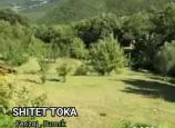 Trualli në shitje