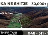 Shtëpi me qira