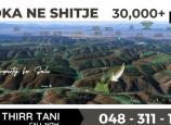 Shtëpi me qira