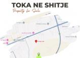 Trualli në shitje