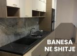 Banesë me qira